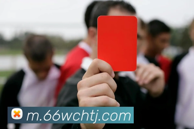 开云app登录入口APP 封面图